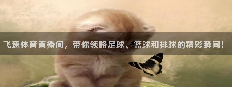 英超直播绿茵直播：飞速体育直播间，带你领略足球、篮球和排球的精彩瞬间！
